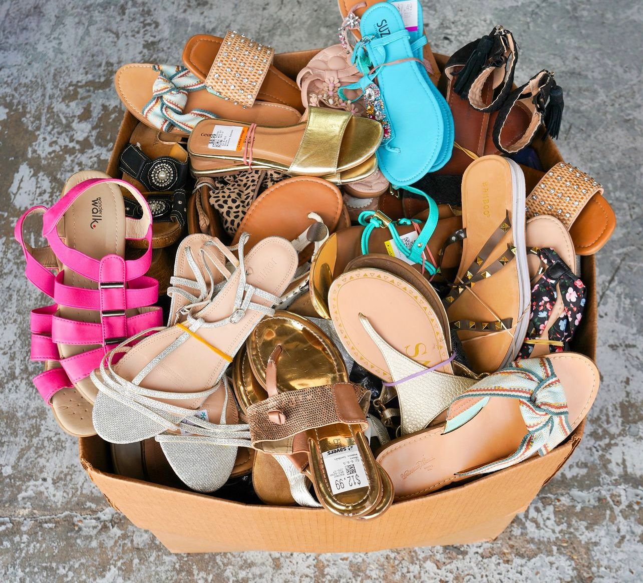 House Shoes or Beach Slippers 2